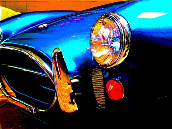 Blue cobra