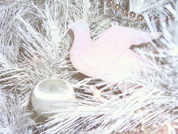 White Dove