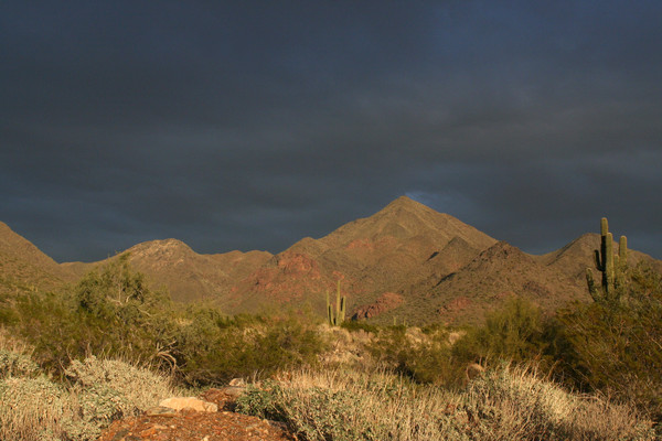 Non-typical Az