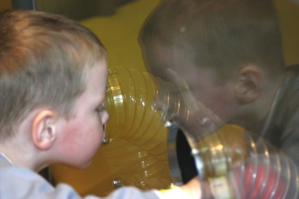 reflections