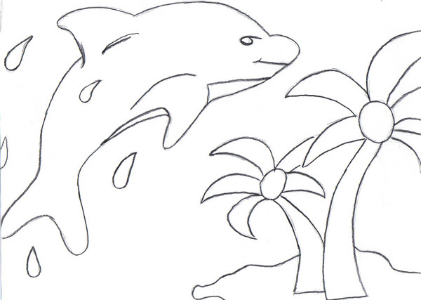 Flying Dolphin 