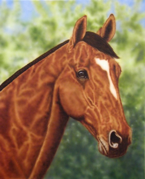Horse