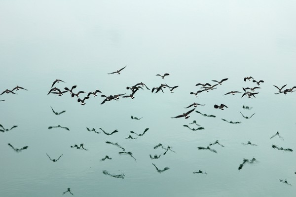 Echo of flight