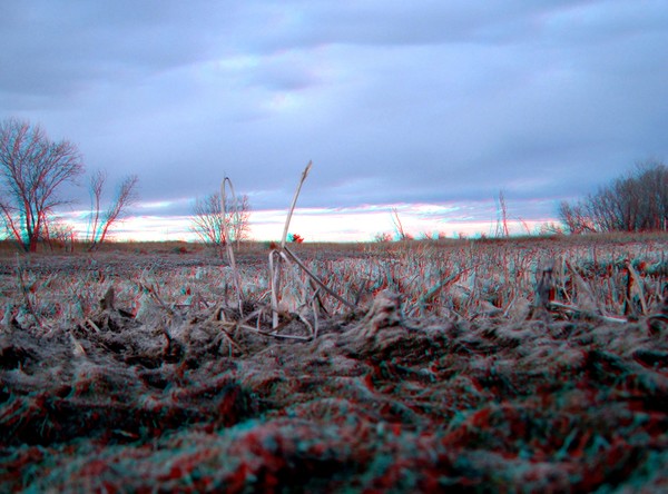 Stone Lake 3-D 1