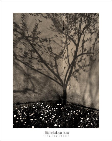 Illusion of spring