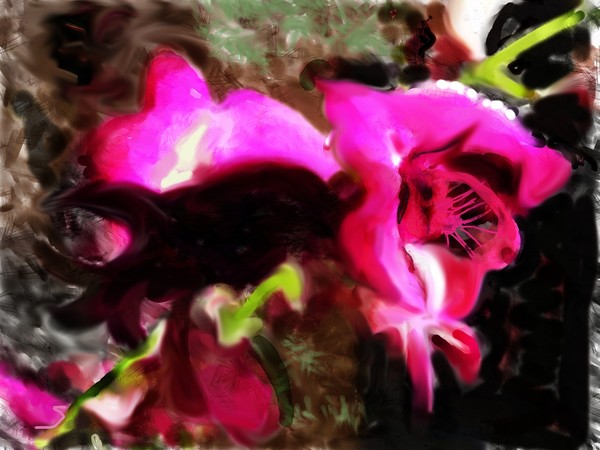 Red little Orchids