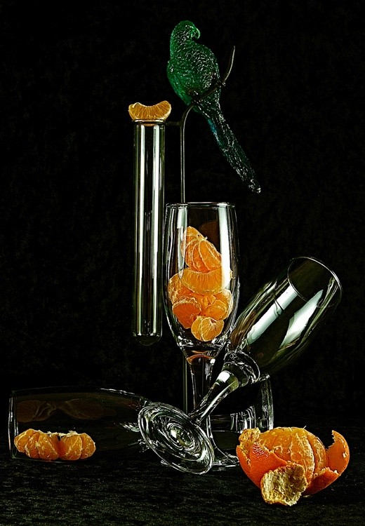The Green Parrot