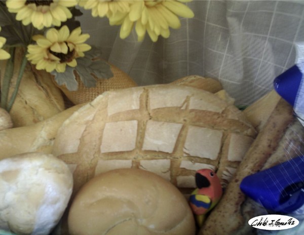 A Bird Among Spanish Bread 