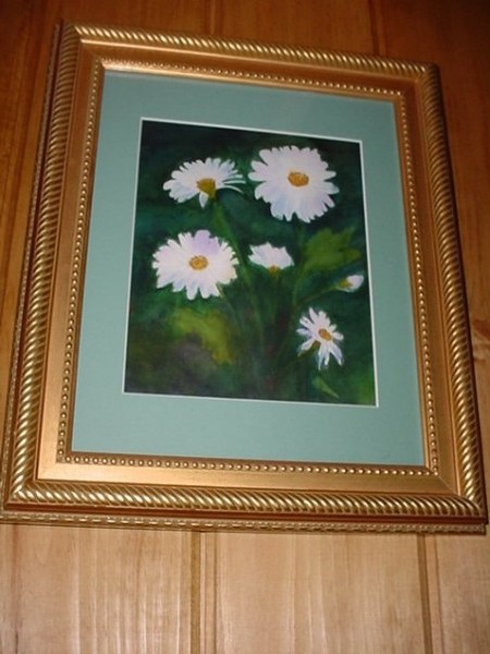 Field of wild Daisys