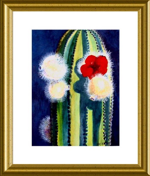 Organ Pipe Cactus Bloom ©
