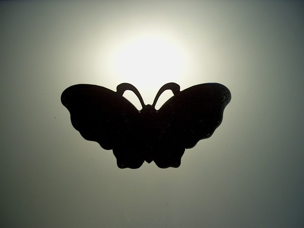 My Butterfly