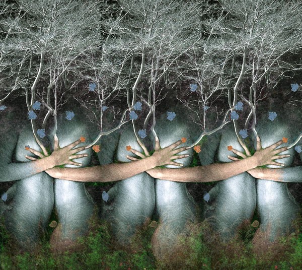 Strawberries forest