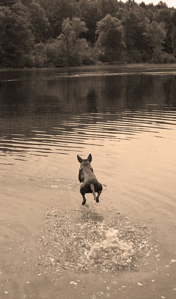 walking on water