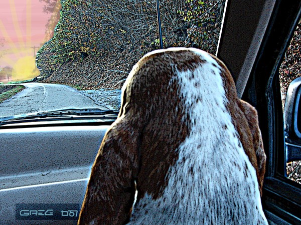 Goin' Home