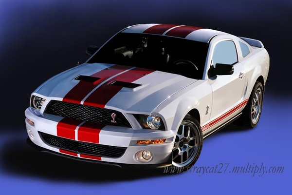 Ford Shelby GT