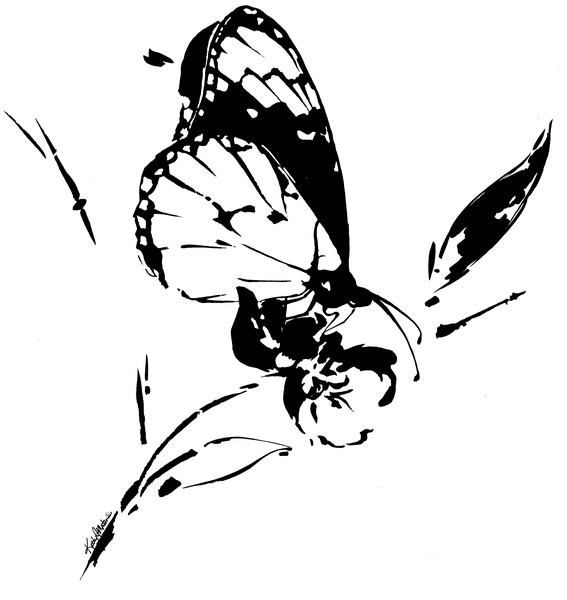 Butterfly