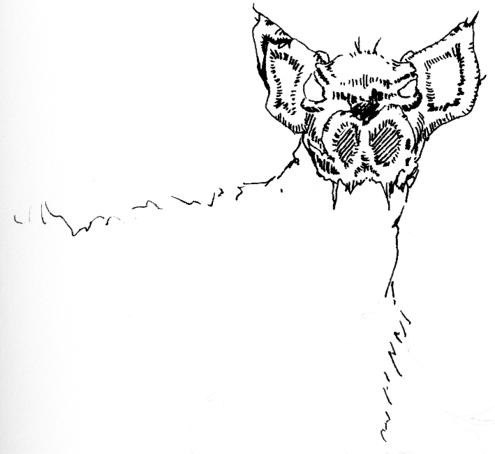 Wolf in sheep's clothing