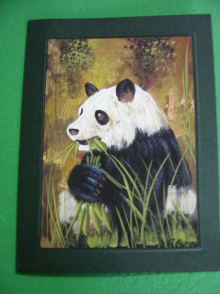 Animals Cards - Congratulations