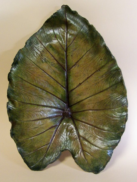 Elephant ear1
