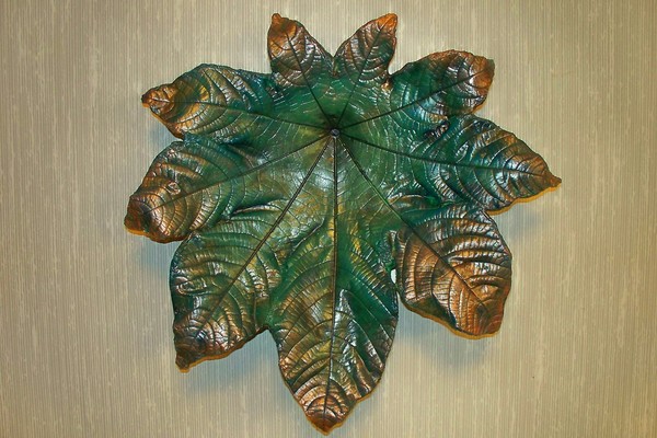 Castor Bean 4