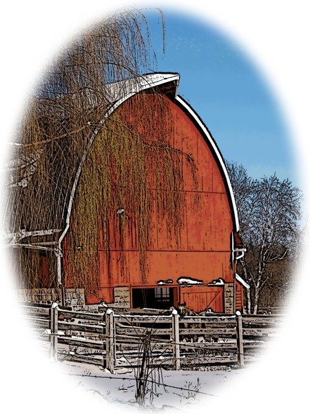 willow tree