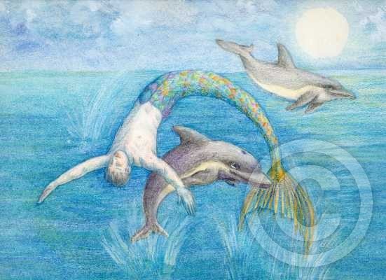 Dolphin Dancing