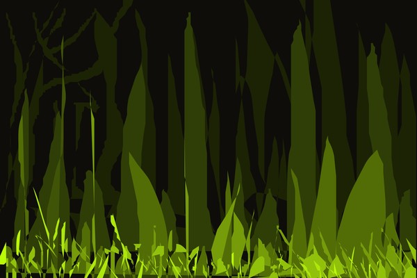 forest