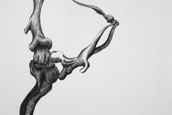 Bones 4