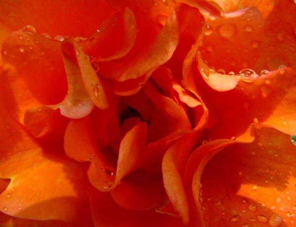DSC03478