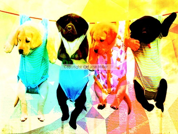 sooooooooooooo cute 3