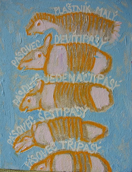 armadillos