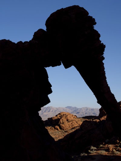 Desert Landscape