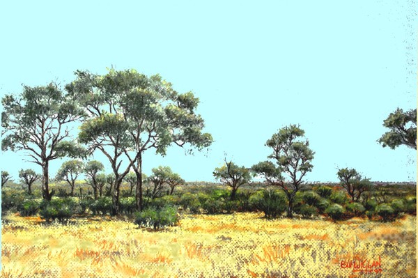 Pastel - Satara Area - Kruger Park