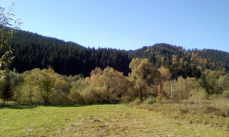 Mountain landscape