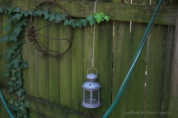 The Green Fends