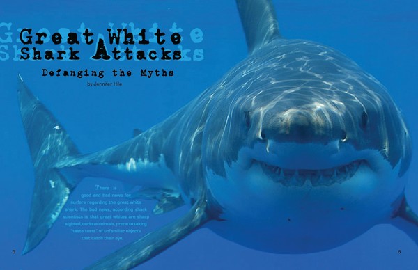 Design/ Layout for article p.5-6