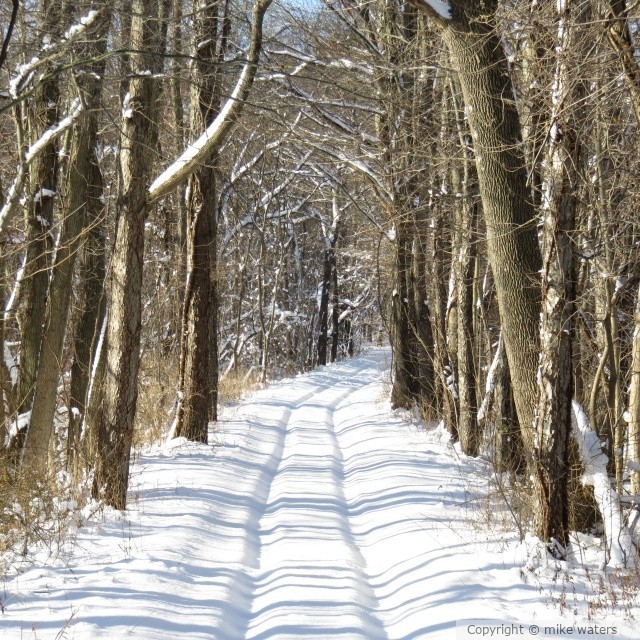 Snow trail