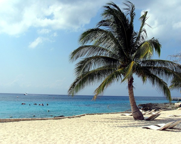 Paradise #1