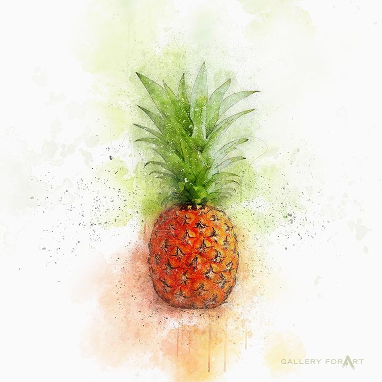 PINEAPPLE ONWHITE RED