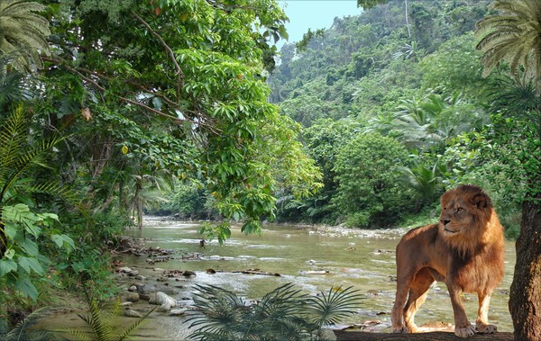 1153-Majestic Tropics