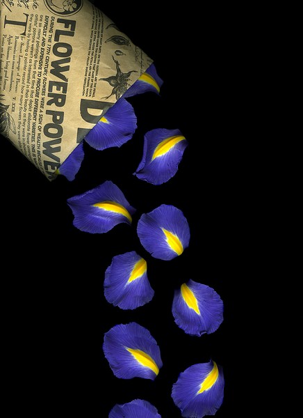 Petal Chips