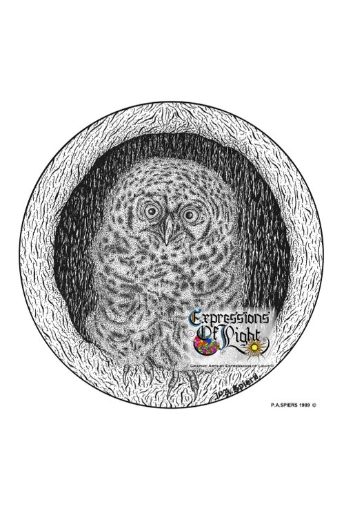 ExpoLight-Graphic-Arts-Baby-Owl-1989-0001 (Pen-&-Ink-Mono-SP)