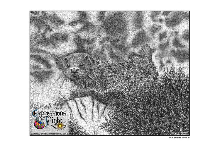ExpoLight-Graphic-Arts-Otter-1989-0001 (Pen-&-Ink-Mono-SP)