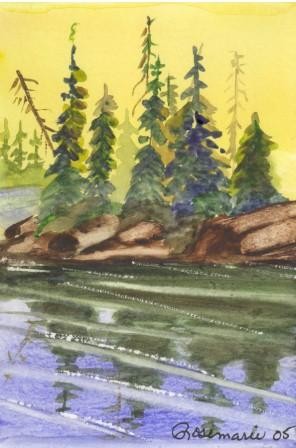 The Cove