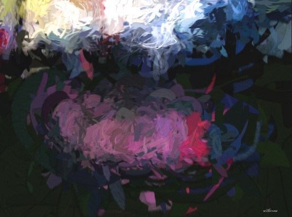 Night Blooms