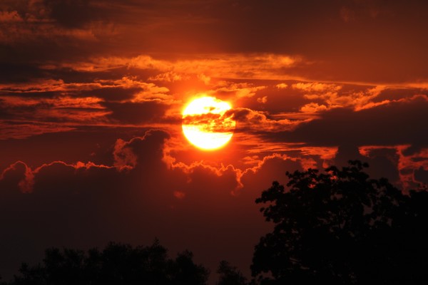 Country Sunrise