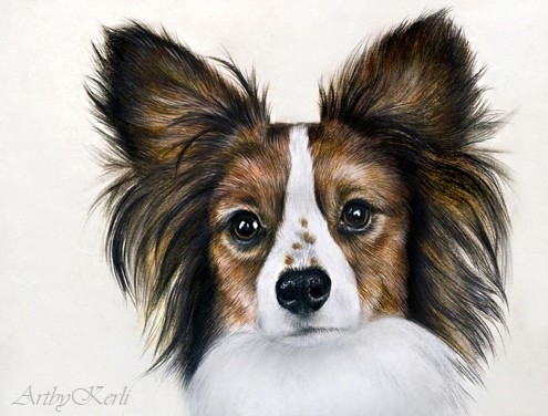 Papillon