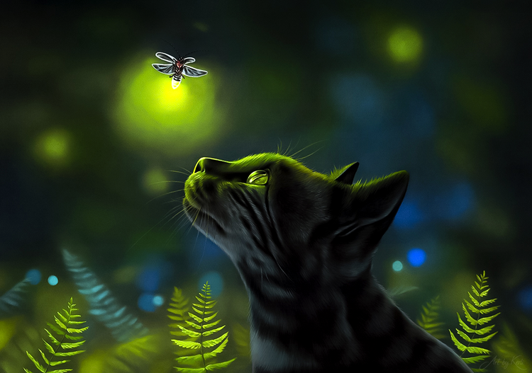 Enchanted Night