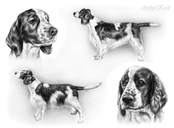 Alfie & Usko