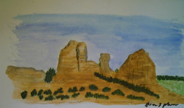 Senora Desert 